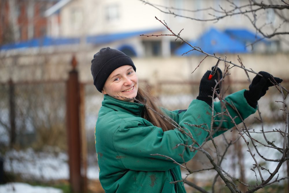 6 arbres à tailler avant la fin du mois de février